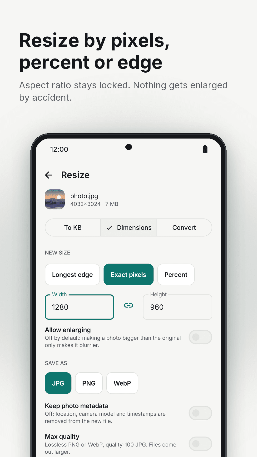Sizra resize by dimensions — pixels, percentage or longest edge